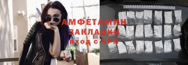 гидра Богородск