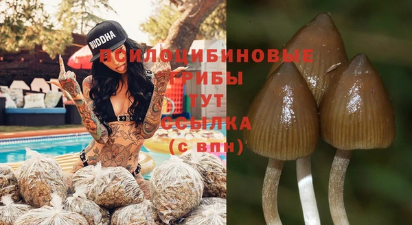 гидра Богородск