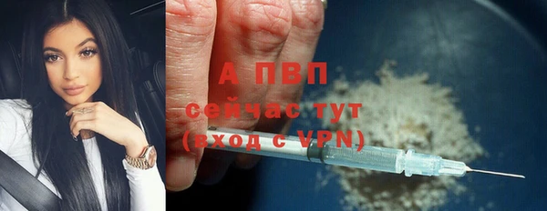 гидра Богородск