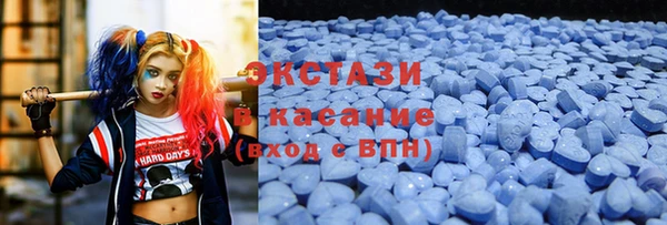 гидра Богородск