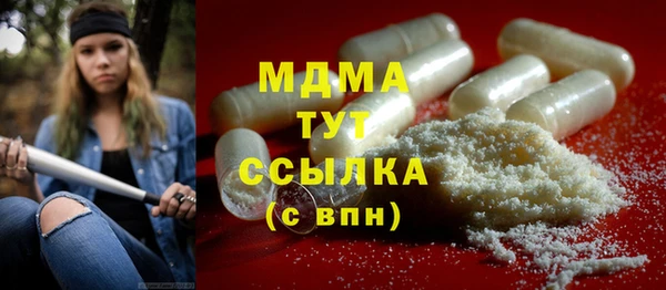 гидра Богородск