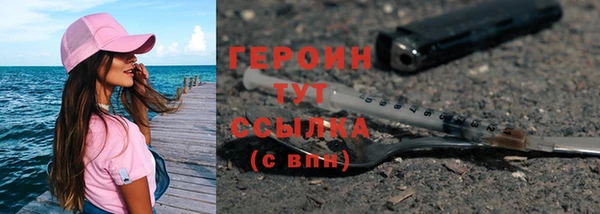 гидра Богородск